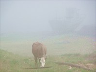 Призраки в тумане-село Байкальское